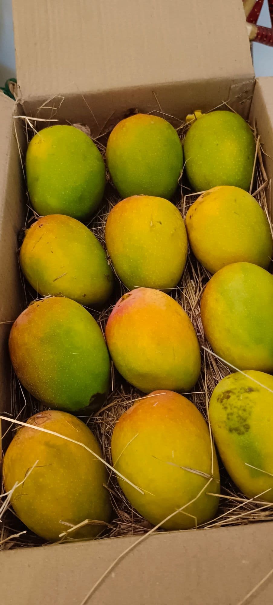 Alphonso Mango Delivery in Mumbai: Same-Day & Next-Day Options