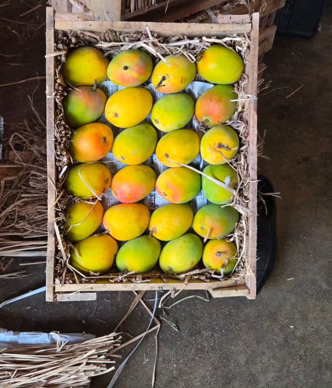 Ratnagiri Alphonso 4 Dozen Wooden Peti 2 — Pure Aam